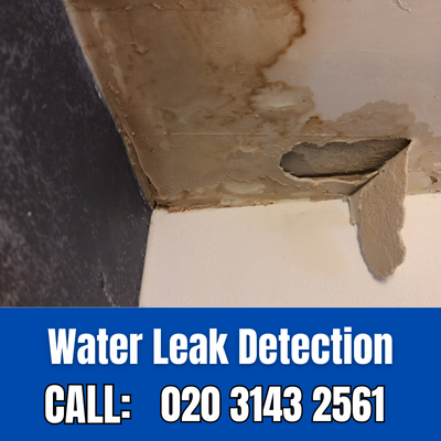 Expert Water Leak Detection Services in Maida Vale | Maida Vale Leak Detection